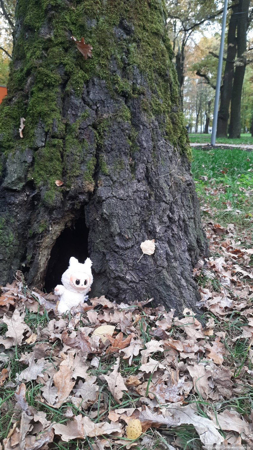 Экотропой — Куклы Zwergnase (Цвергназе/Цверги): фото