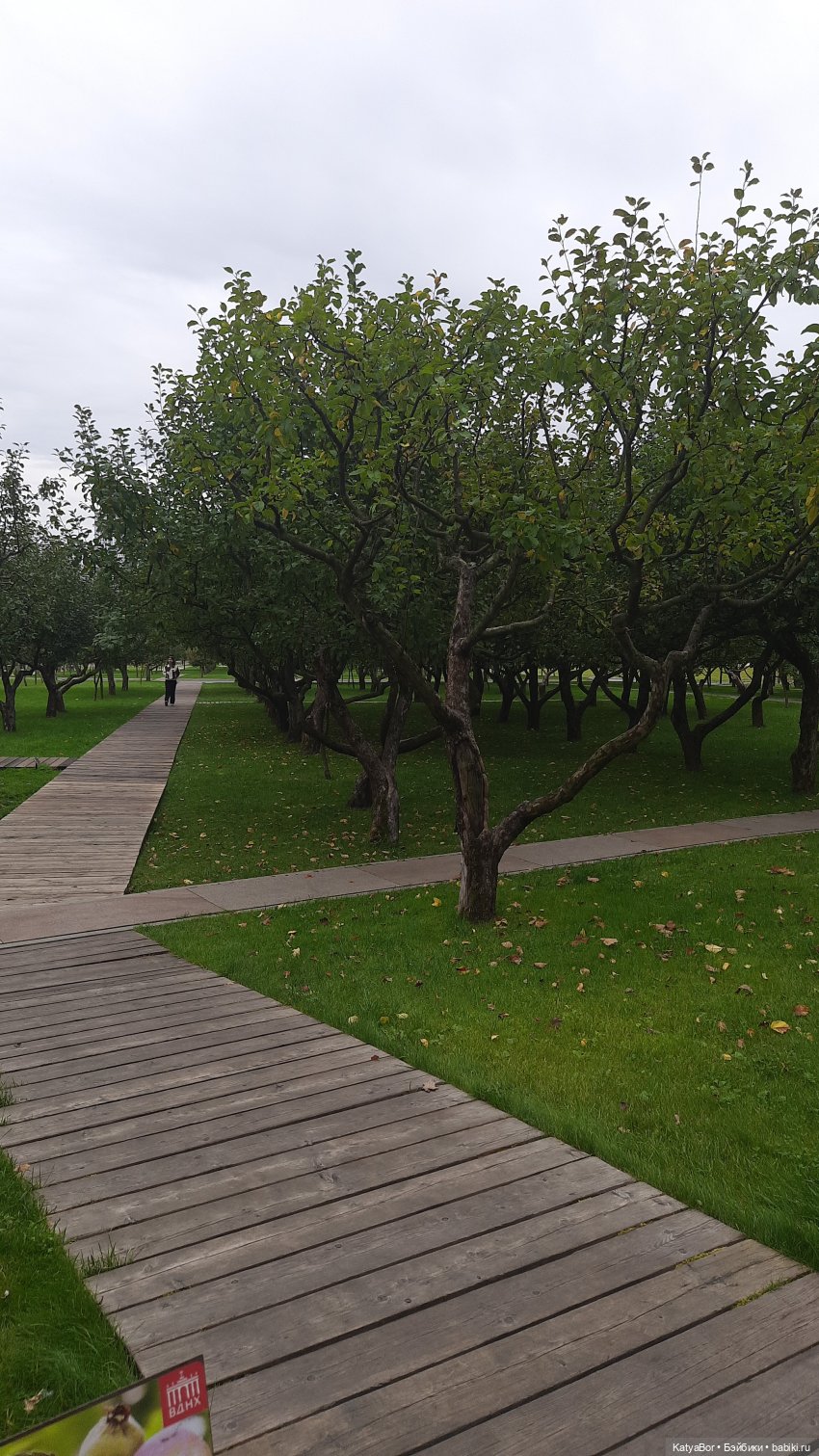 Экотропой — Куклы Zwergnase (Цвергназе/Цверги): фото