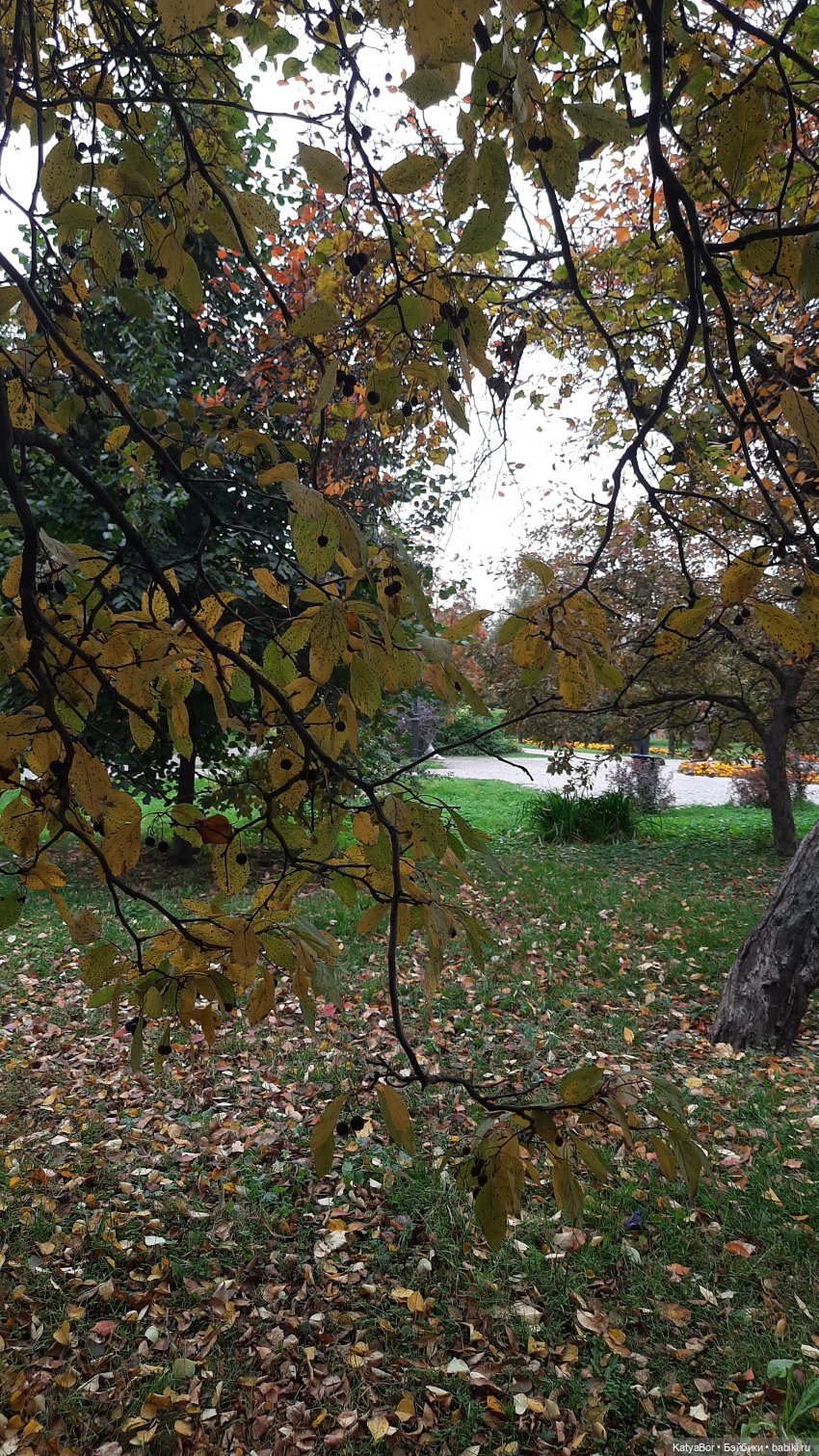 Вокруг Сухаревой башни — Домашние фото авторских кукол: личные коллекции (фото 7)