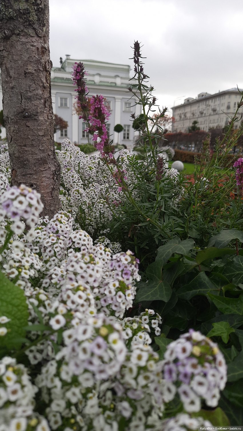 Памятник вечной любви — Туризм и путешествия: фотоотчеты из поездок (фото 4)