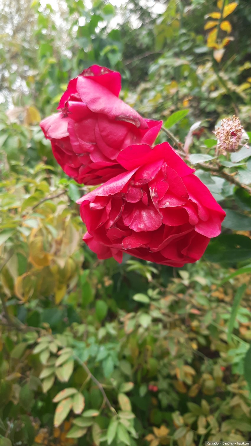 По Сретенке, ныряя в переулки (фото 5)