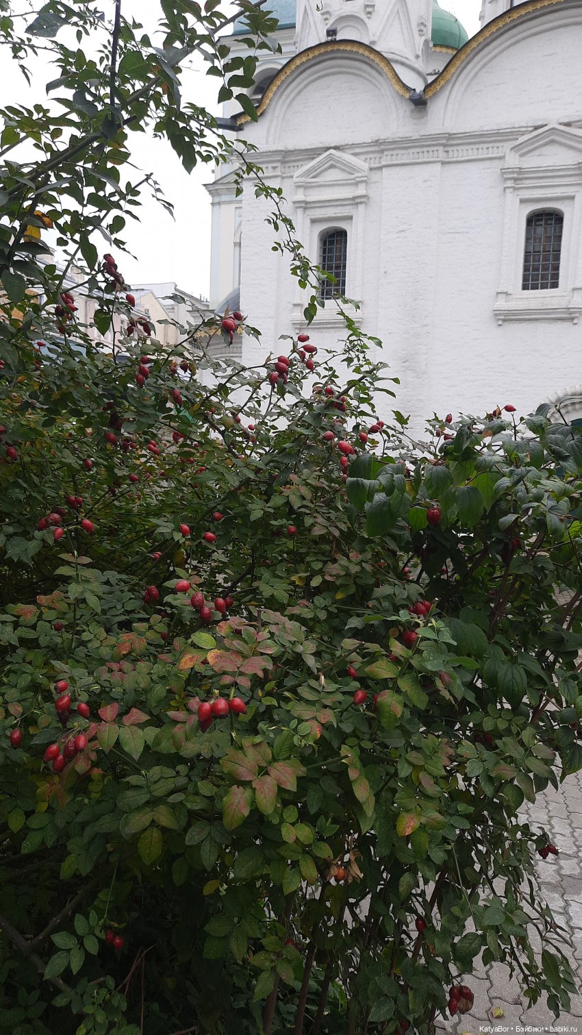 По Сретенке, ныряя в переулки (фото 4)