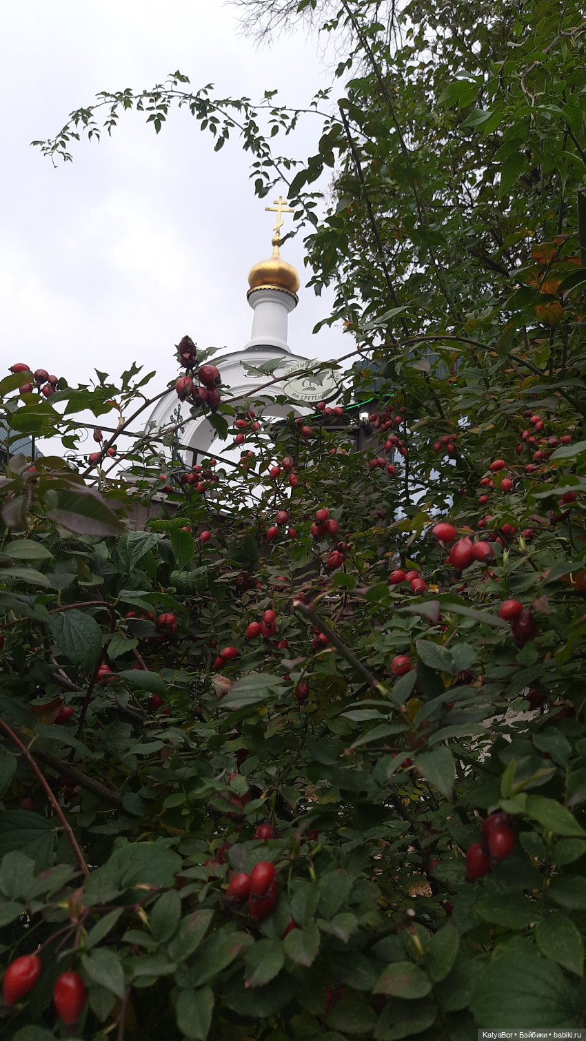 По Сретенке, ныряя в переулки (фото 6)