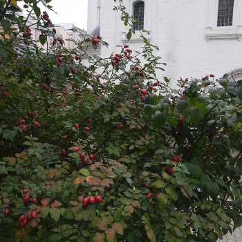 По Сретенке, ныряя в переулки