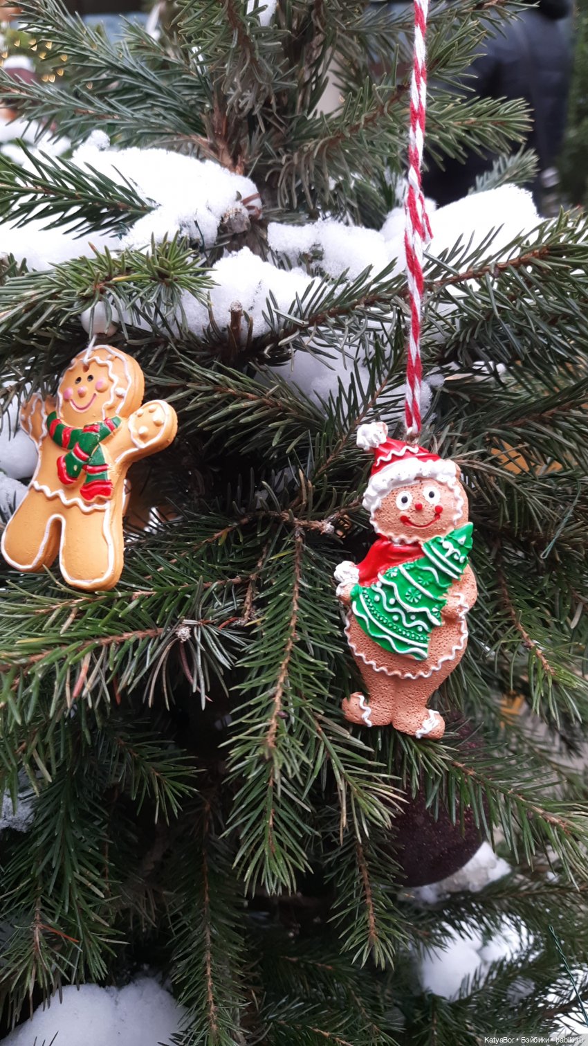 Пряничный человечек путешествует в Рождество (фото 9)