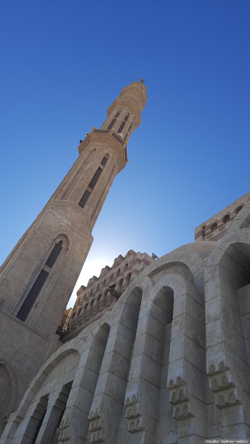 Восточная красавица запрыгнула в чемодан (фото 10)