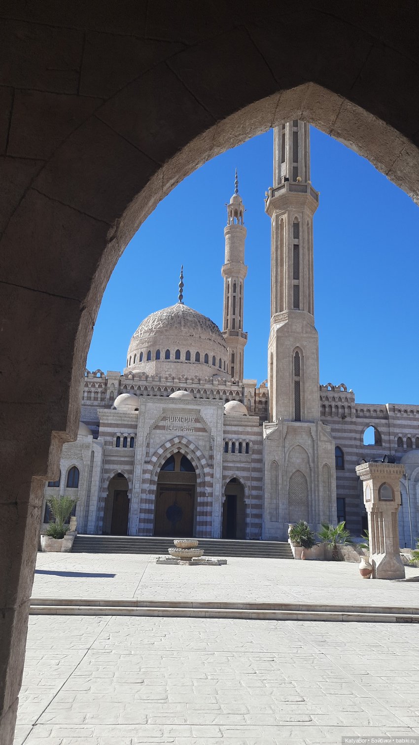 Восточная красавица запрыгнула в чемодан (фото 4)