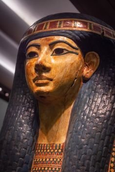 Восточная красавица запрыгнула в чемодан (фото 2)