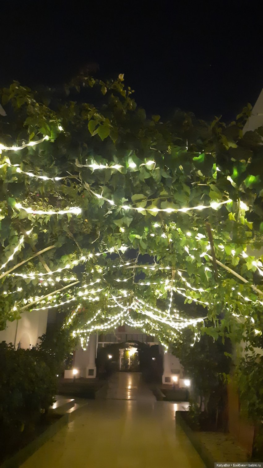 Та самая Синди — Куклы Sindy (Синди) и Tammy (Тамми): винтаж