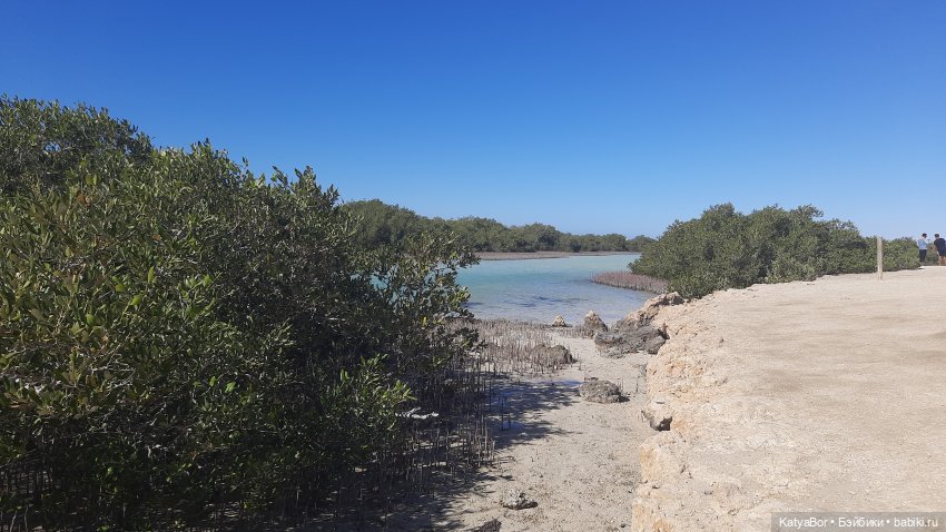 Синди путешествует — Куклы Sindy (Синди) и Tammy (Тамми): винтаж (фото 10)