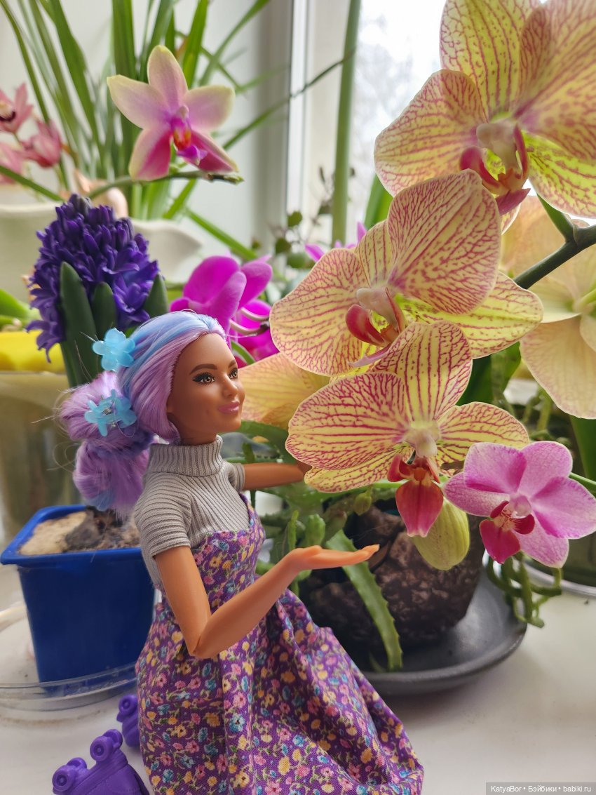 Репетиция весны на подоконнике