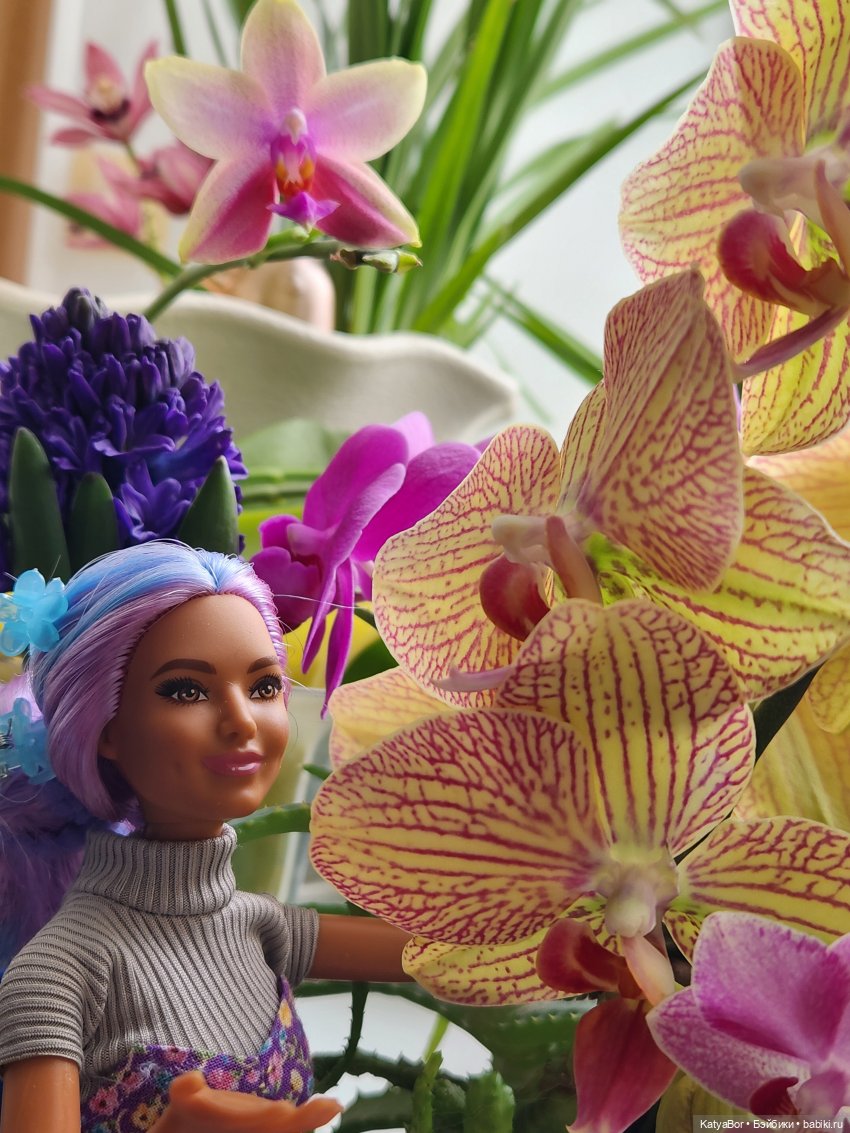 Репетиция весны на подоконнике