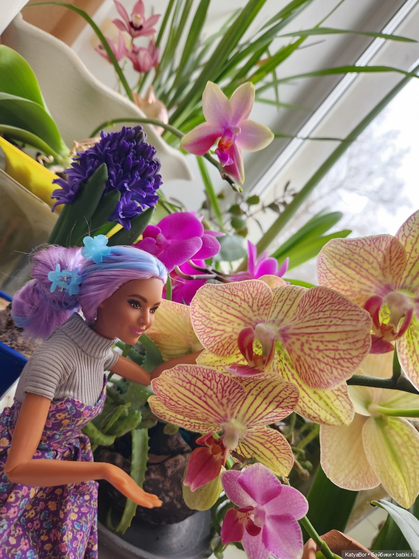 Репетиция весны на подоконнике