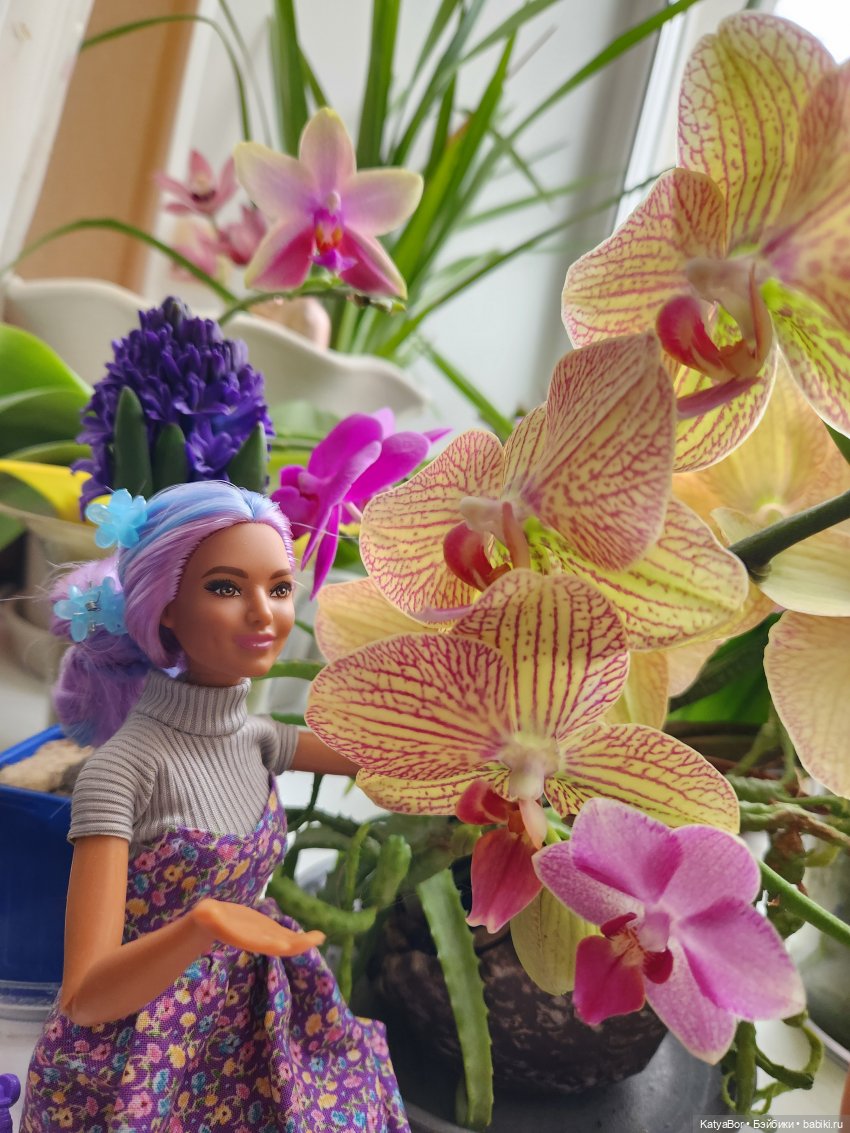 Репетиция весны на подоконнике