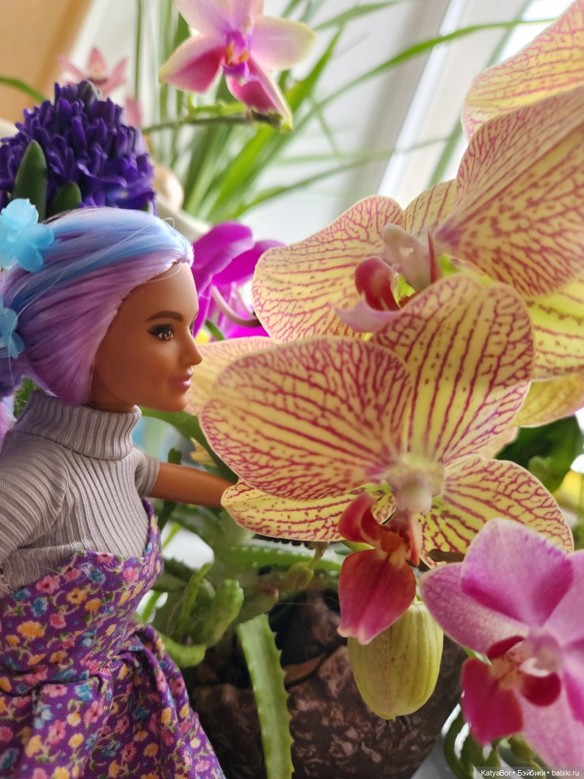 Репетиция весны на подоконнике