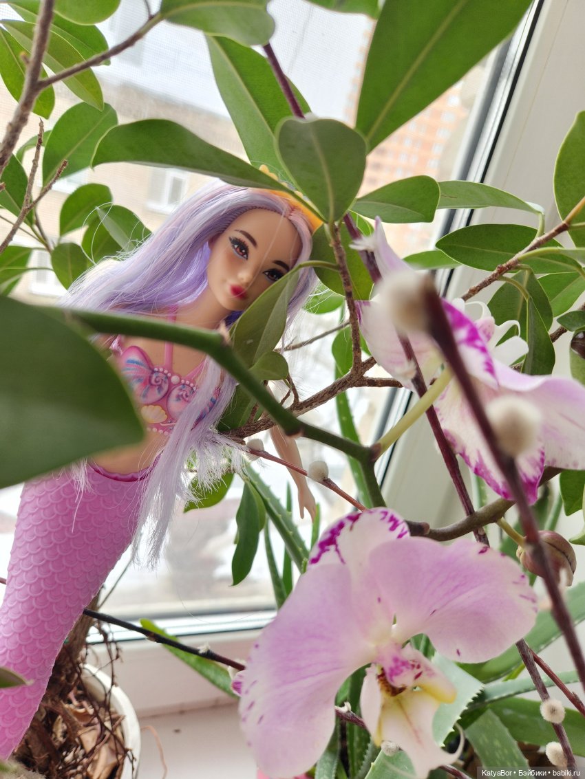 Репетиция весны на подоконнике (фото 8)