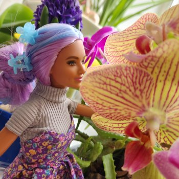 Репетиция весны на подоконнике