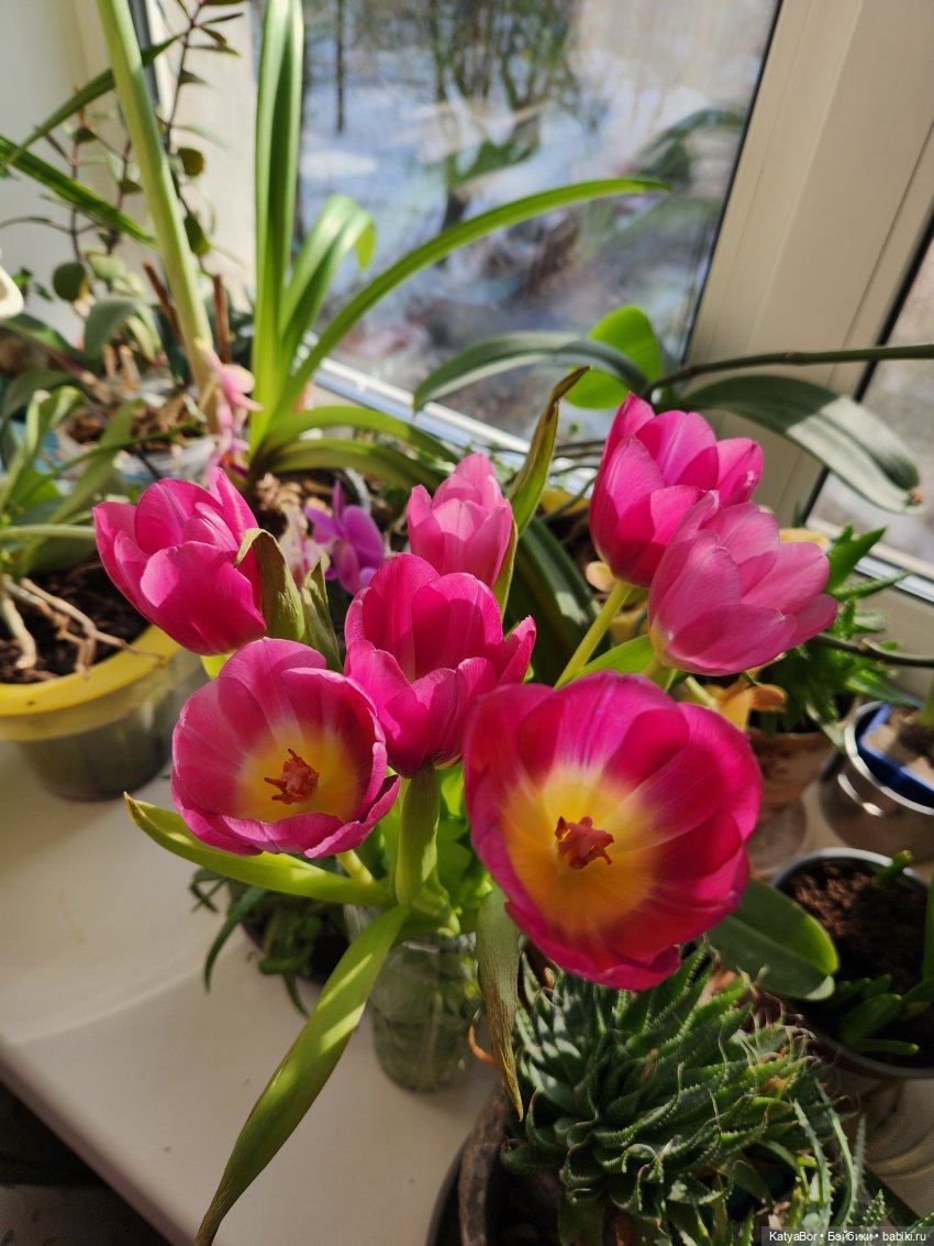 Мои куклы. Кто живёт у меня на столе