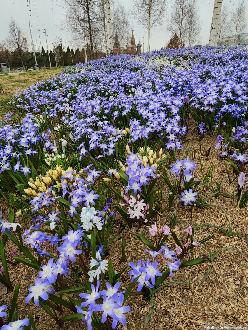 Весна глазами москвички — Куклы Gotz (Готц): Ханна