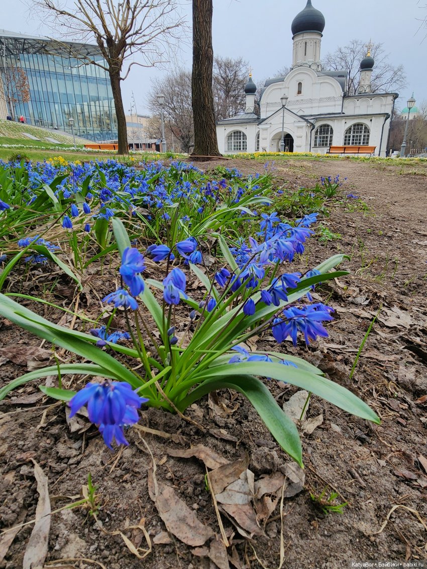 Весна глазами москвички — Куклы Gotz (Готц): Ханна (фото 10)