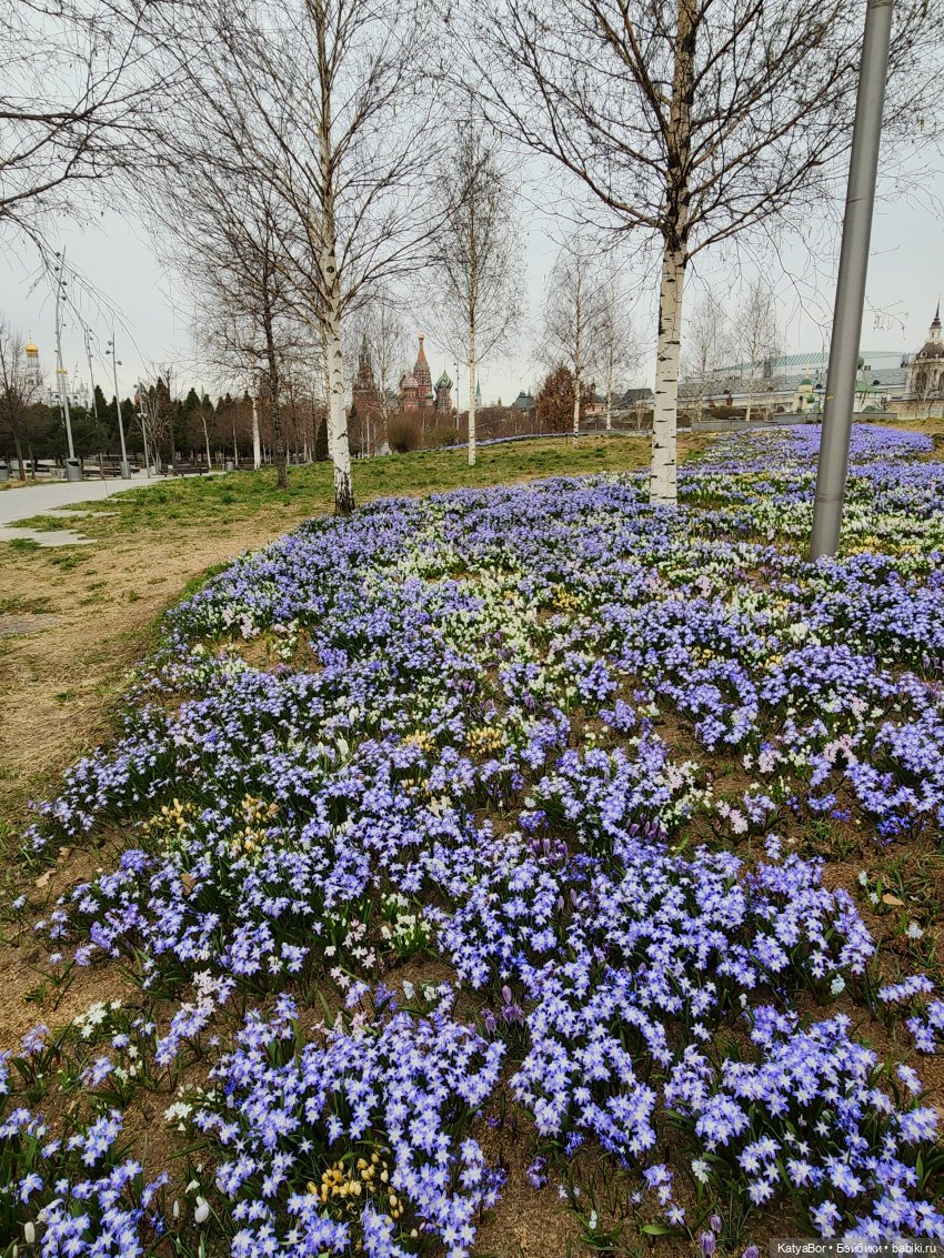 Весна глазами москвички — Куклы Gotz (Готц): Ханна