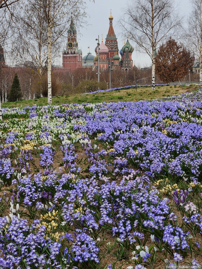 Весна глазами москвички — Куклы Gotz (Готц): Ханна (фото 5)