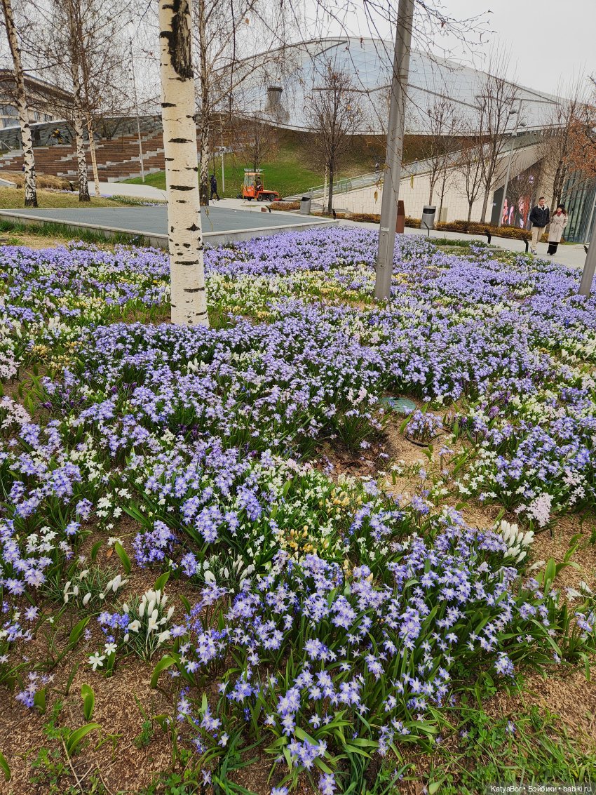 Весна глазами москвички — Куклы Gotz (Готц): Ханна