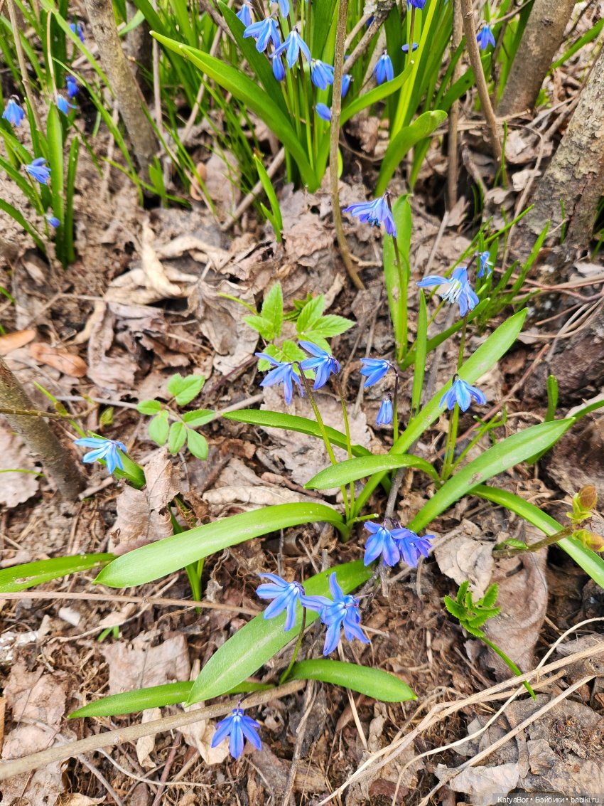 Пасхальные каникулы в Твери. Часть 2 | Бэйбики Пасхальные каникулы в Твери. Часть 2