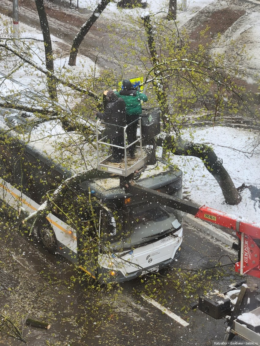 Куколки Lottie и полка-комната