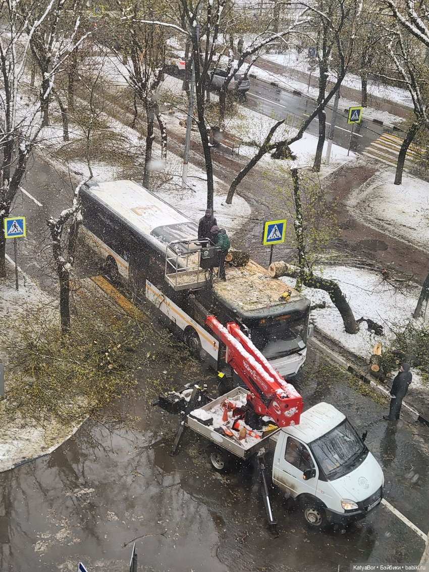 Куколки Lottie и полка-комната