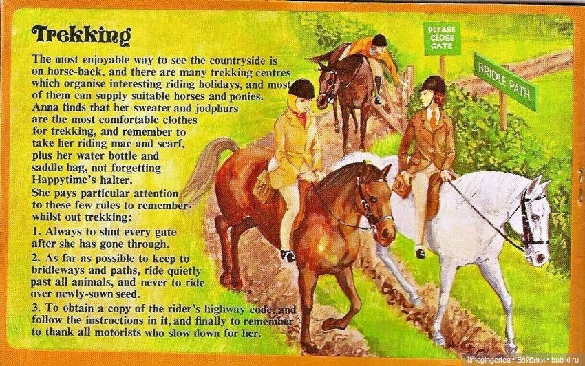 Аннушка и Мурочка, они же ANNA MOORE & THE CHAMPIONS (1975 & 1976 by Pedigree Toys)