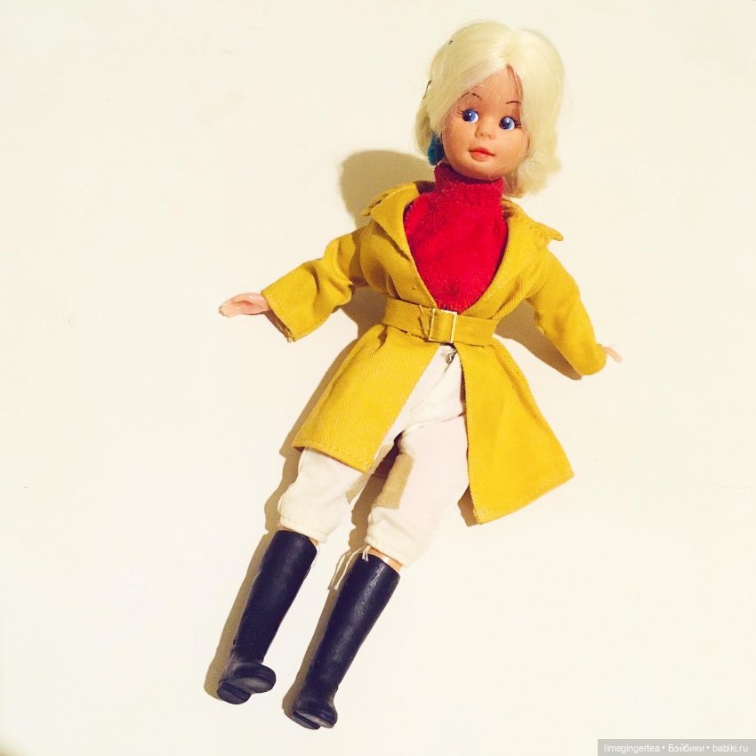 Аннушка и Мурочка, они же ANNA MOORE & THE CHAMPIONS (1975 & 1976 by Pedigree Toys)