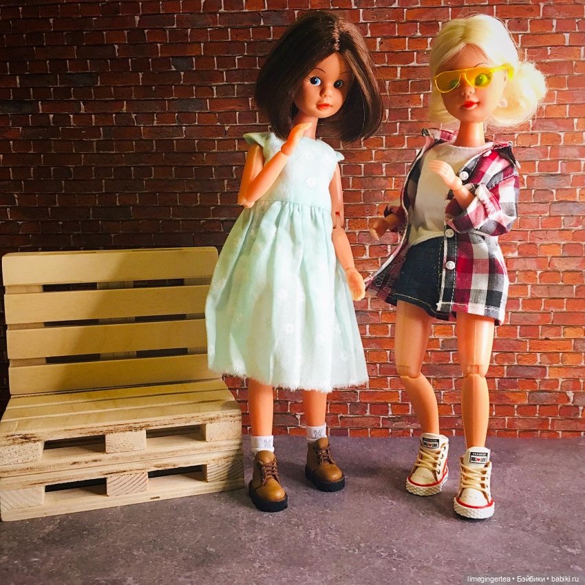 Аннушка и Мурочка, они же ANNA MOORE & THE CHAMPIONS (1975 & 1976 by Pedigree Toys)