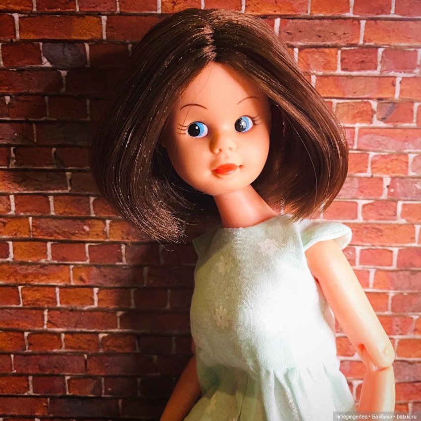 Аннушка и Мурочка, они же ANNA MOORE & THE CHAMPIONS (1975 & 1976 by Pedigree Toys)