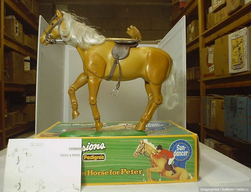 Аннушка и Мурочка, они же ANNA MOORE & THE CHAMPIONS (1975 & 1976 by Pedigree Toys) (фото 7)