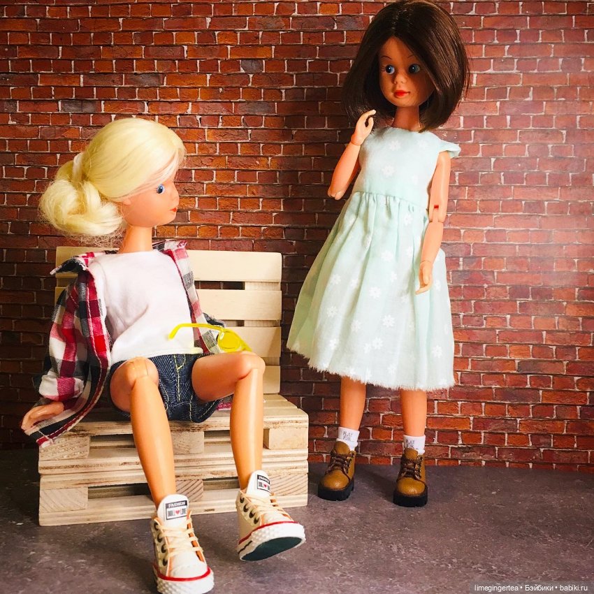 Аннушка и Мурочка, они же ANNA MOORE & THE CHAMPIONS (1975 & 1976 by Pedigree Toys)