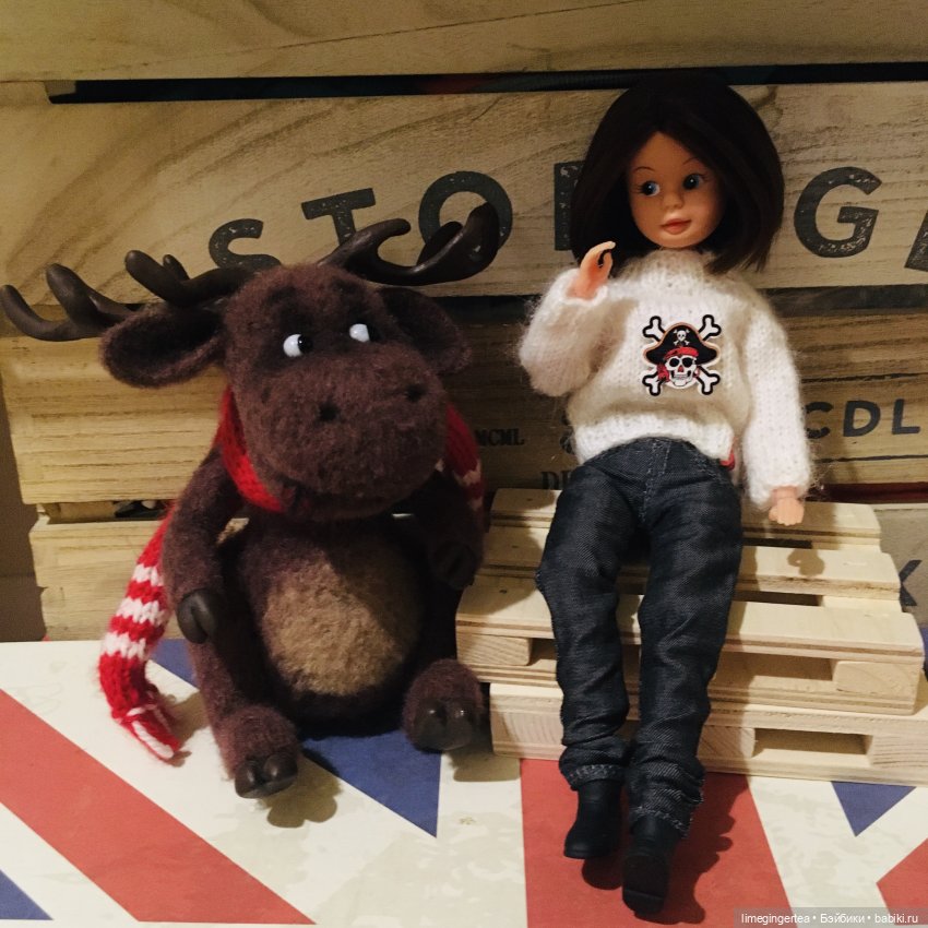 Аннушка и Мурочка, они же ANNA MOORE & THE CHAMPIONS (1975 & 1976 by Pedigree Toys)