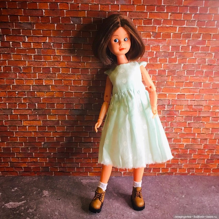 Аннушка и Мурочка, они же ANNA MOORE & THE CHAMPIONS (1975 & 1976 by Pedigree Toys)