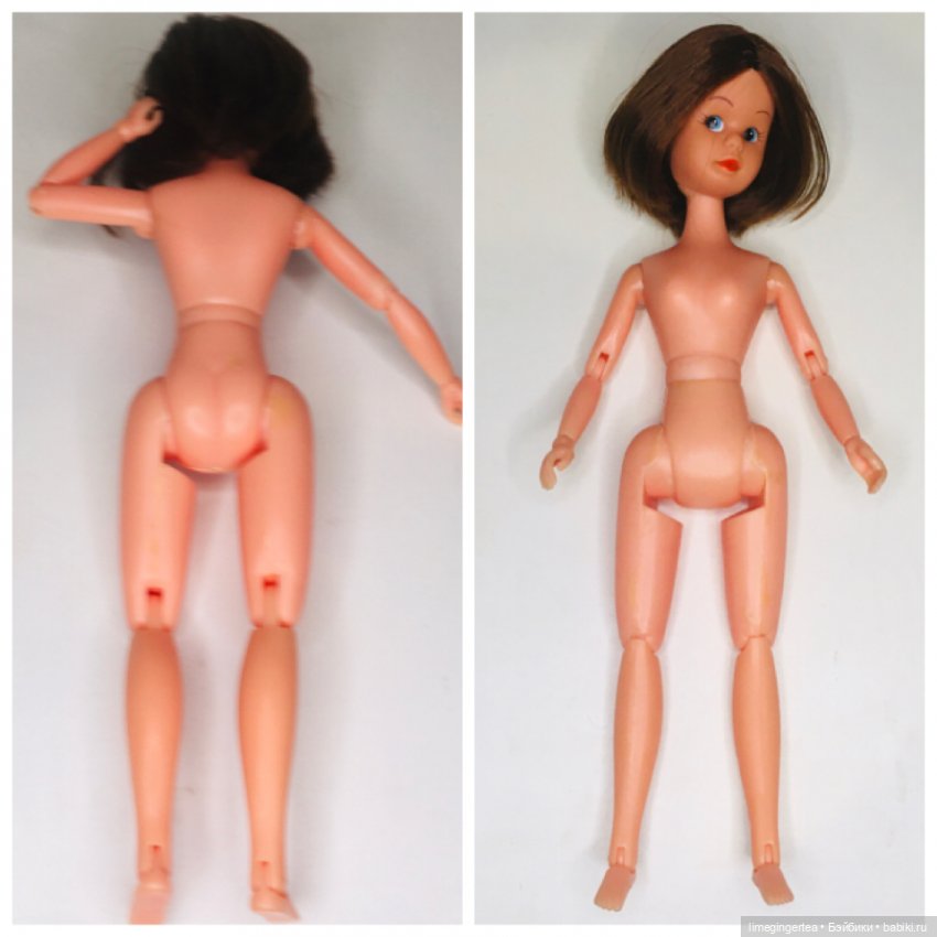 Аннушка и Мурочка, они же ANNA MOORE & THE CHAMPIONS (1975 & 1976 by Pedigree Toys)