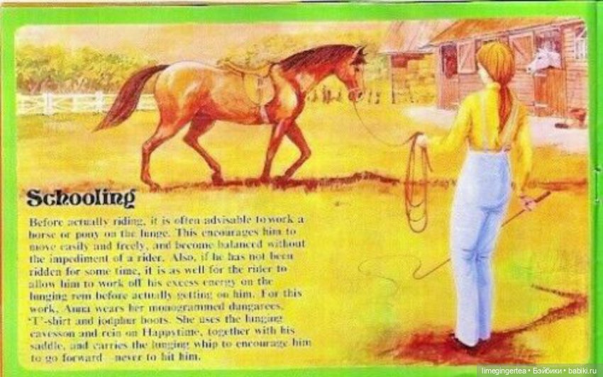 Аннушка и Мурочка, они же ANNA MOORE & THE CHAMPIONS (1975 & 1976 by Pedigree Toys)