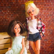 Аннушка и Мурочка, они же ANNA MOORE & THE CHAMPIONS (1975 & 1976 by Pedigree Toys)