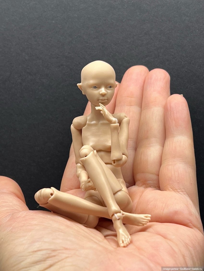 Перепись населения на начало 2023 года