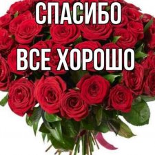 Напиши мне, напиши