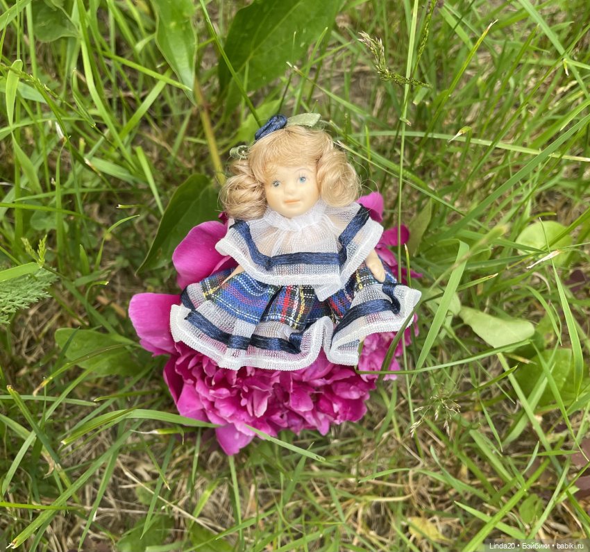 Дюймовочка на пионе