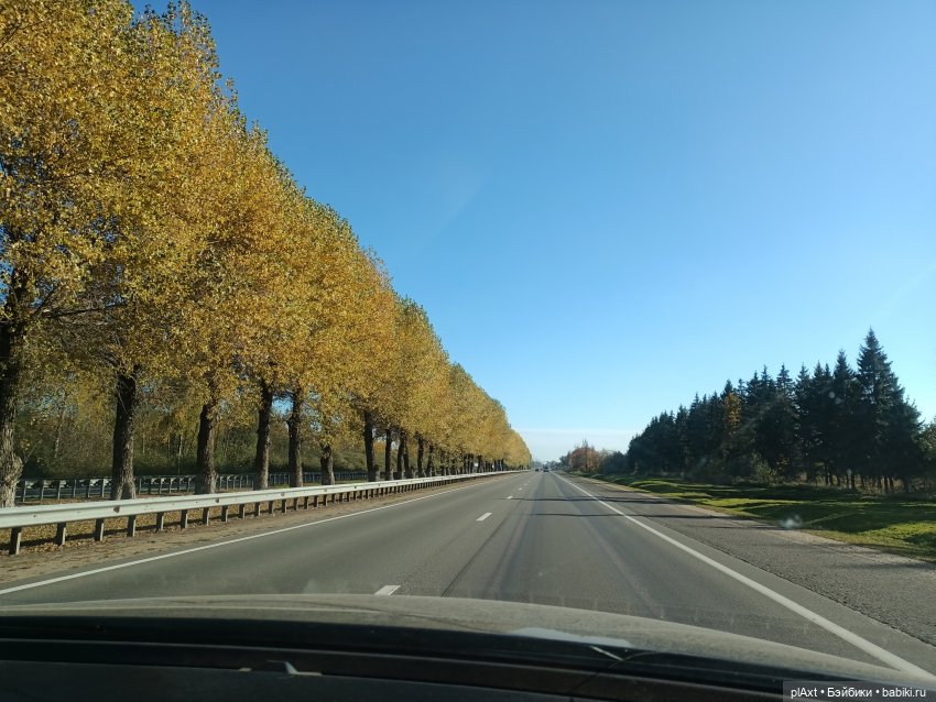 КОНЦЕРТ. MadFox (open air)