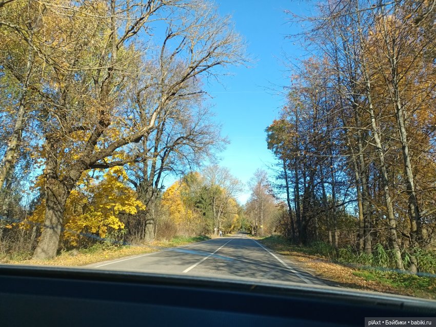 КОНЦЕРТ. MadFox (open air)