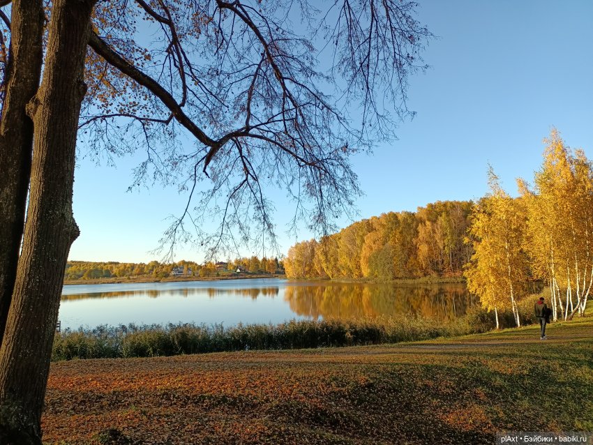 КОНЦЕРТ. MadFox (open air)