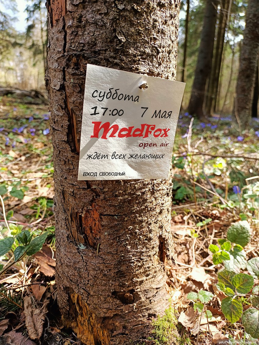 АФИША: MadFox (open air) — Кукольные флешмобы: Эстафеты (фото 10)