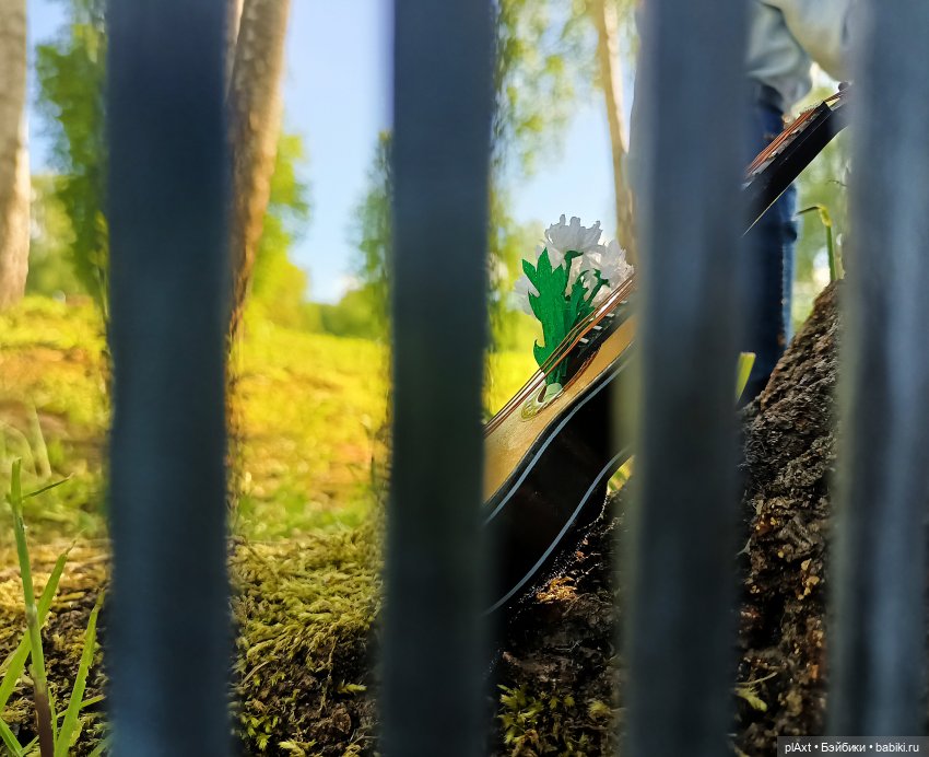 Свадебное. День | Бэйбики Свадебное. День — Куклы Barbie (Барби): Looks