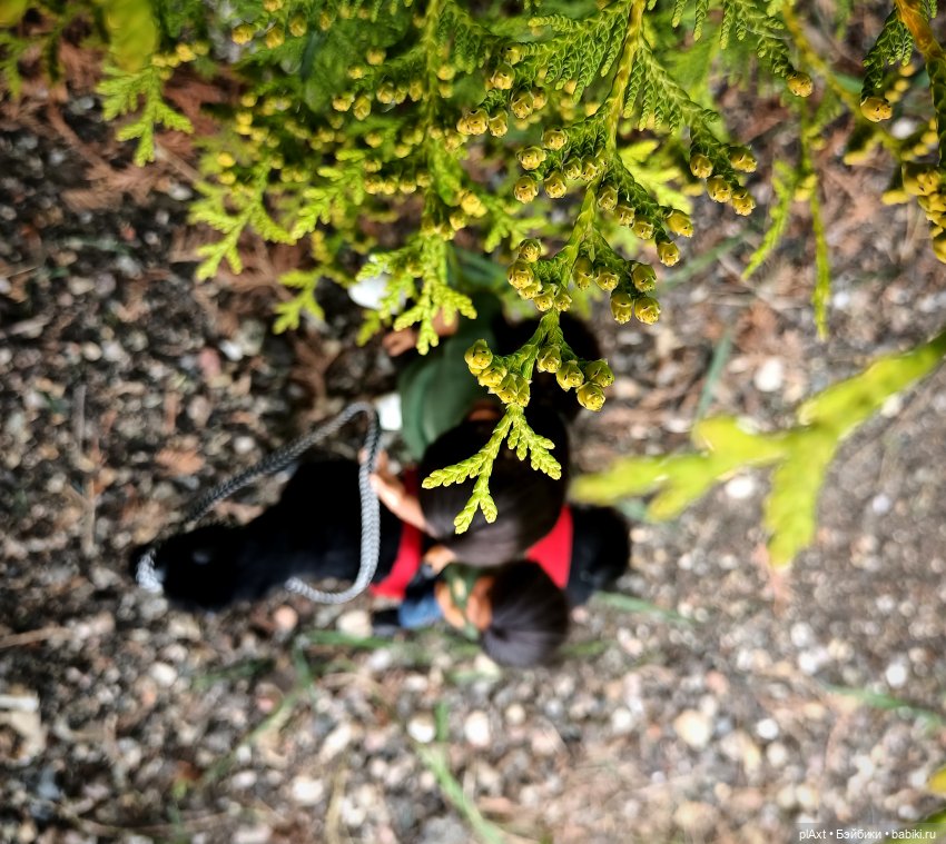 Вне истории. Пока мама нас не видит (фото 2)